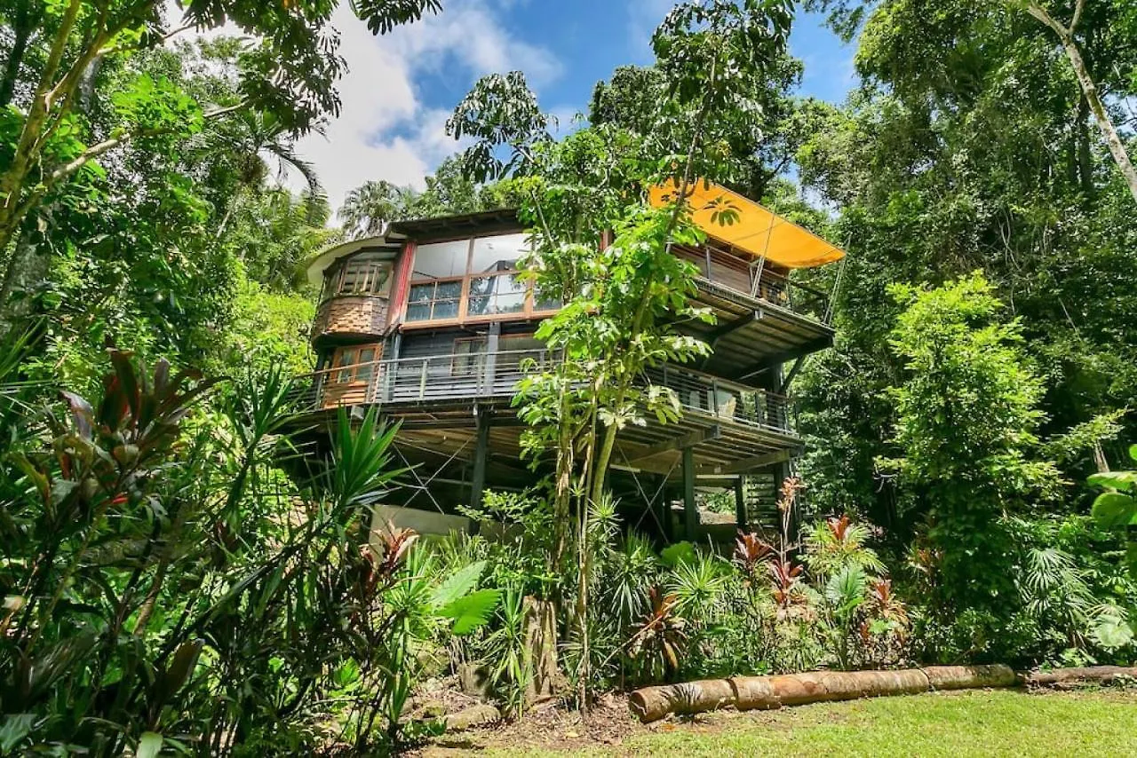 Campsite The Secret Treehouse Hotel Cairns Australia