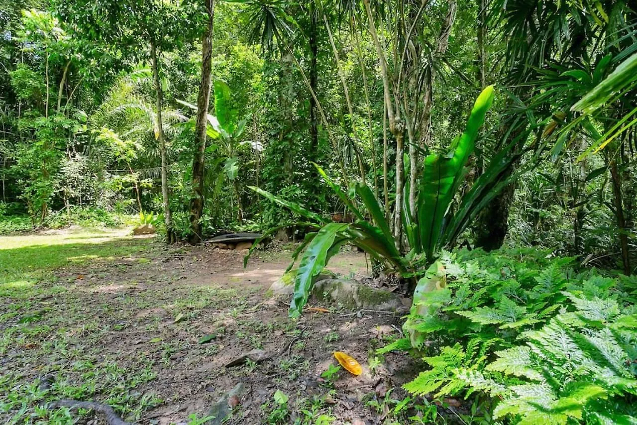 Campsite The Secret Treehouse Hotel Cairns Australia