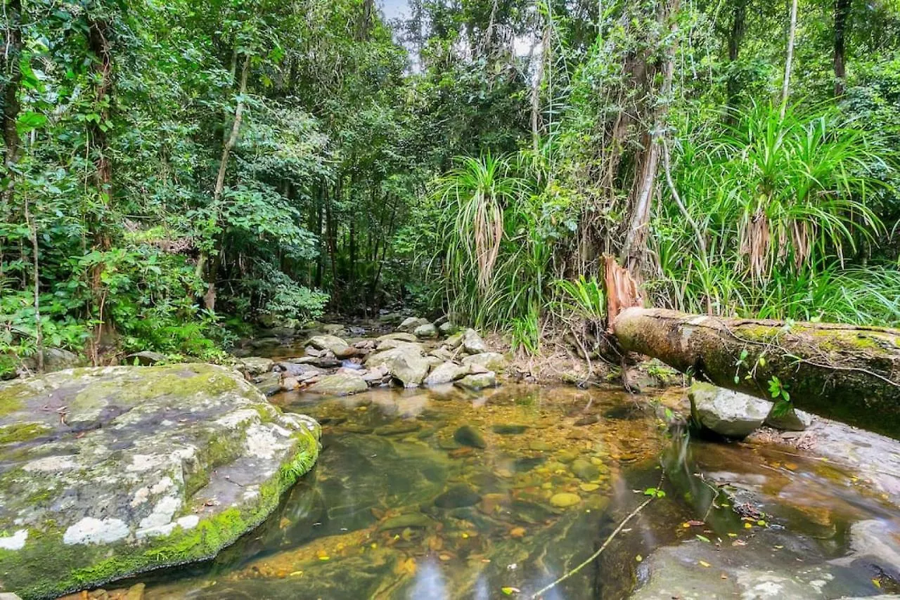 Campsite The Secret Treehouse Hotel Cairns Australia
